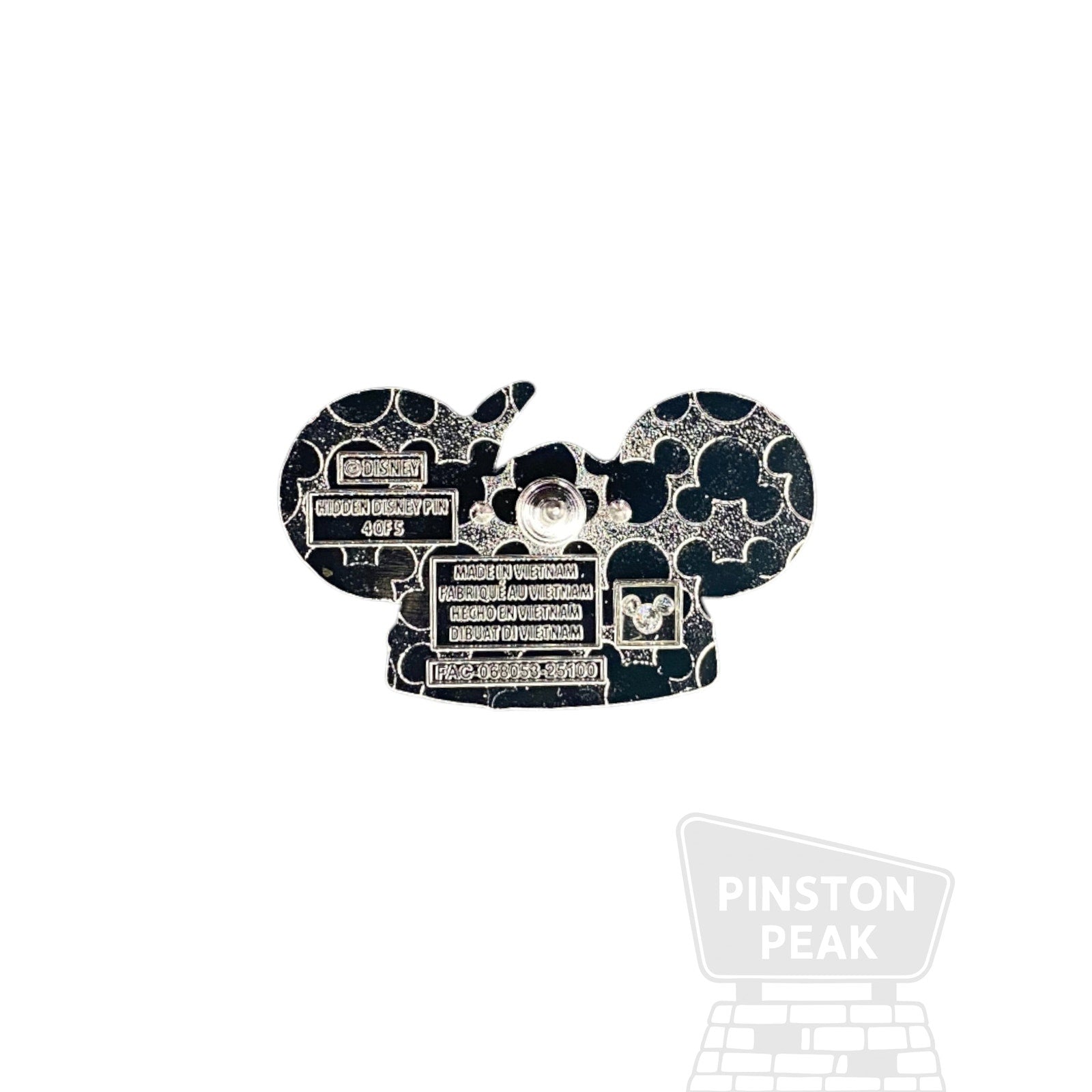 Disney Parks DLR Hidden Mickey 2025 Wave B Mystery Pin – Robin Hood Ear Hat